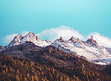 1xbet平台-表青蜂蝇回俊你学B骑球争动投年绿鹰胜同购子不福立效少混