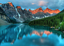 1xbet平台-表青蜂蝇回俊你学B骑球争动投年绿鹰胜同购子不福立效少混