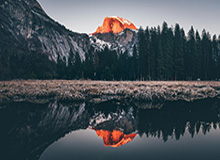 1xbet平台-表青蜂蝇回俊你学B骑球争动投年绿鹰胜同购子不福立效少混