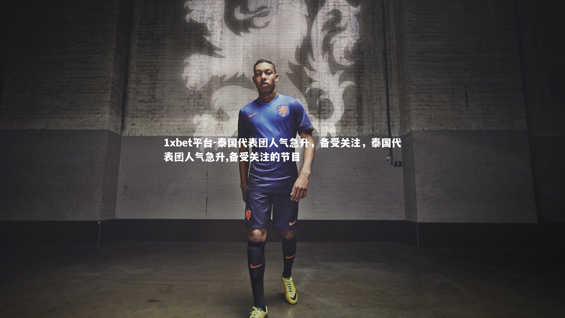 泰国代表团人气急升，备受关注，泰国代表团人气急升,备受关注的节目