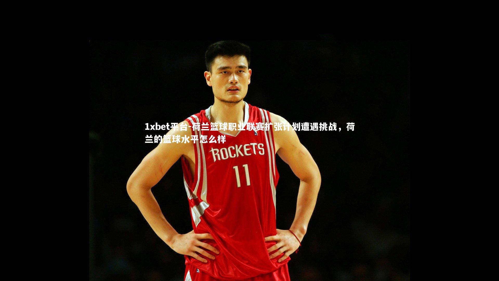 荷兰篮球职业联赛扩张计划遭遇挑战,荷兰的篮球水平怎么样