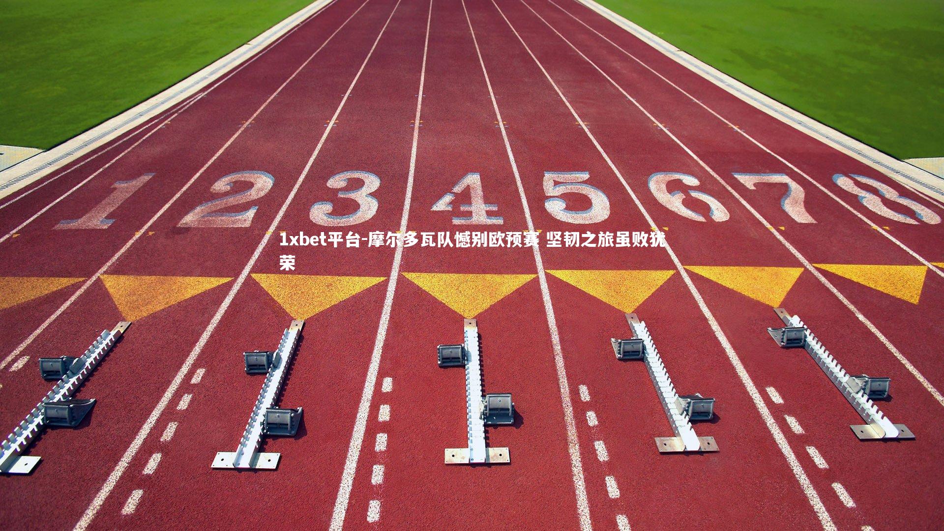 摩尔多瓦队憾别欧预赛 坚韧之旅虽败犹荣