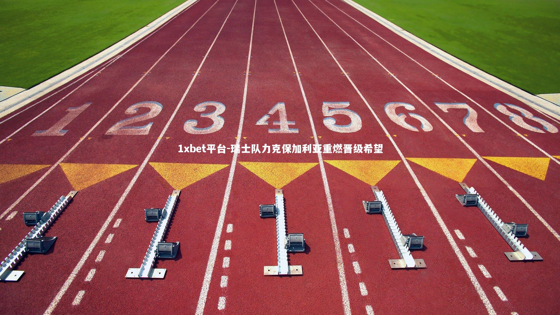 瑞士队力克保加利亚重燃晋级希望